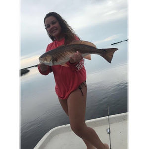 Meet your Posher, Kira